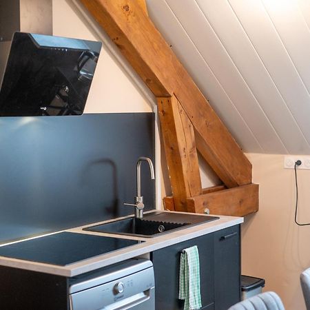 Appartement Balneo-Detente Sainte-Helene-du-Lac Экстерьер фото